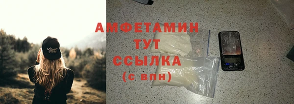 индика Балабаново