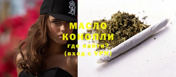 индика Балабаново
