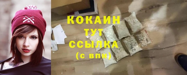 индика Балабаново