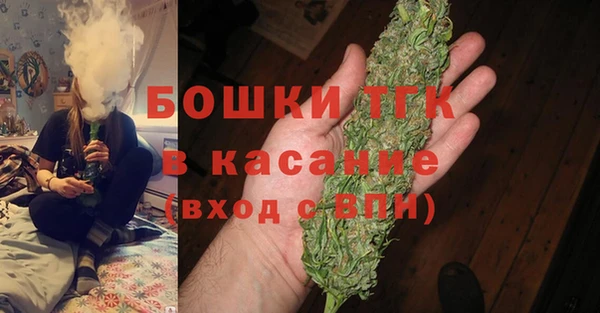 индика Балабаново