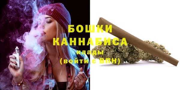 гашик Балахна